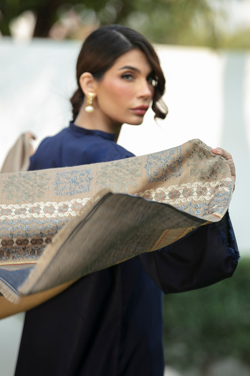 Serene - Beige Embroidered Indian Shawl